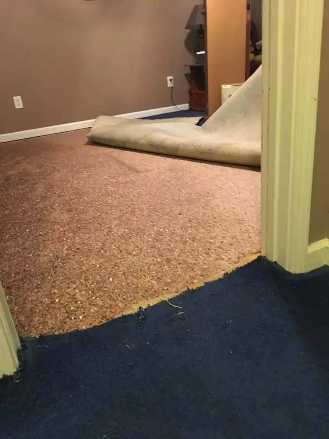 Carpet pad removal revealing water damage during Water Mitigation Services in Bay Minette
