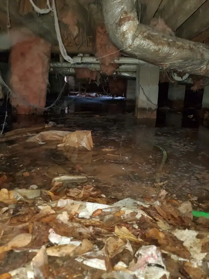 Crawl space flood assessment for Leak Detection & Repair in Bay Minette